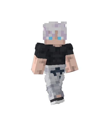 HS skin