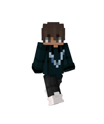 HS skin